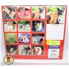 Image 1 : NEW 12 MONTH 2PACK 2022 KITTENS/ CATS CALENDARS