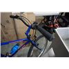 Image 3 : BLUE GIANT BIKE