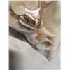 Image 3 : BAG OF SEA SHELLS