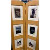 Image 2 : ROOM DIVIDER PICTURE FRAME