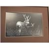 Image 2 : 2 SIGNED LEP RAY BARONE WILDLIFE PRINTS AND FRAMED MIRROR
