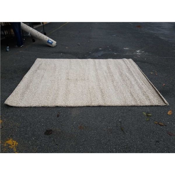 SHAGGY 240 X 320CM AREA CARPET