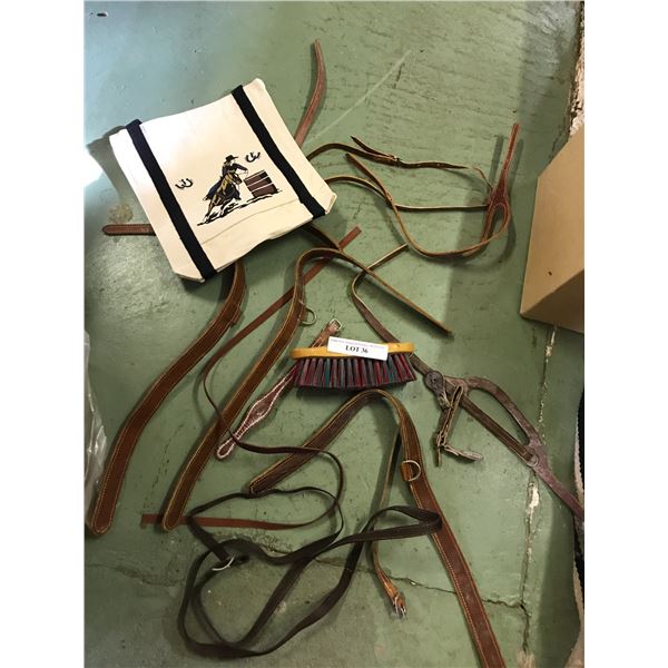 Brush, bag, leather straps