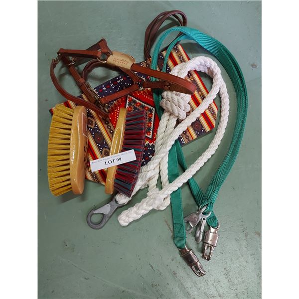 Lead rope, halter, cross-lies, brushes and bag