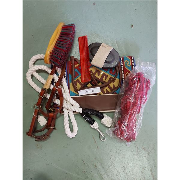 Lead rope, halter, bag and brushes