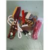 Image 1 : Lead rope, halter, bag and brushes
