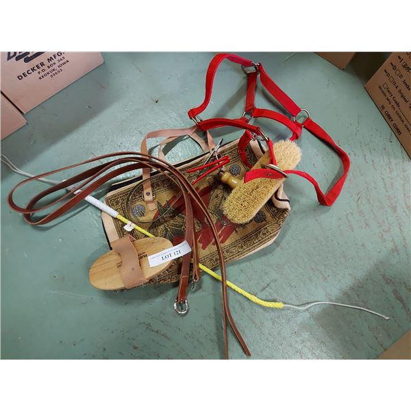 Brush bag, brushes, halter and reins