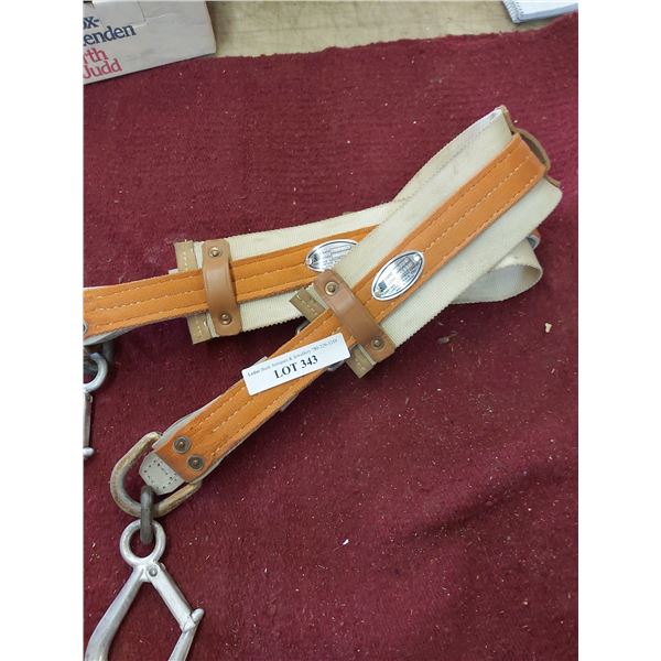 Pair of Lifting Straps