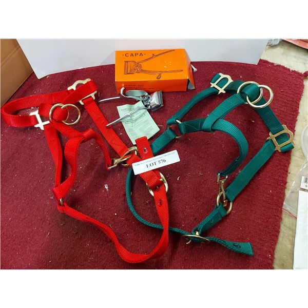 2 halters - webbing, CAPA hair clipper