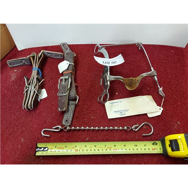 Ball chain (~7 1/2" L) with 2 S-hooks, spur straps (2 sets), bit (5")