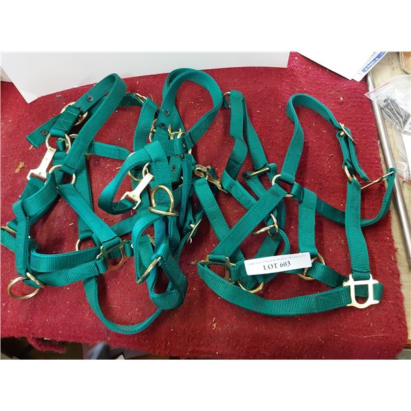 5 Green Full Horse Halters