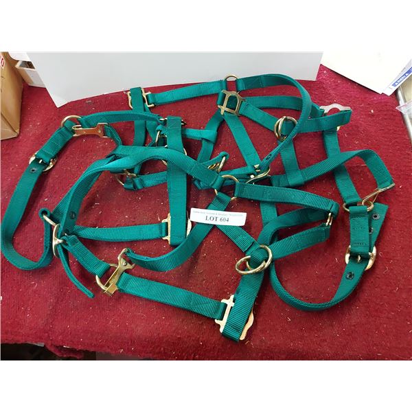 4 Green Full Horse Halters