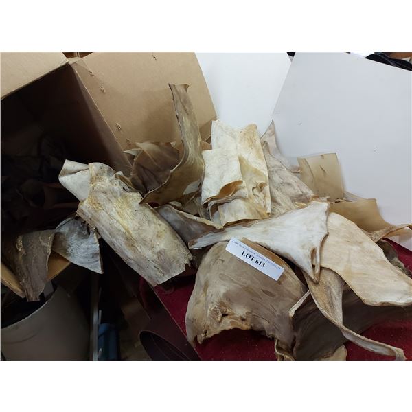 Many asst pieces of rawhide