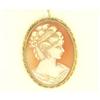 Image 1 : 14k Gold  Natural Shell Cameo Pin or Pendant #2333507