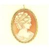 Image 1 : 14k Gold  Natural Shell Cameo Pin or Pendant #2333507