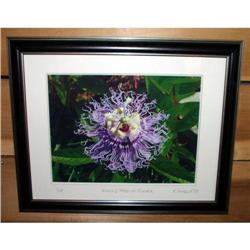 Purple Passion Flower Signed Limited Edition #2344745