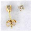 Image 1 : 7pt Yellow Gold Diamond Earrings #2345242