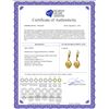 Image 2 : Genuine 6.5 ctw Citrine Earrings 14KT Yellow Gold - REF-43R4P