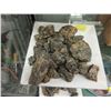 Image 1 : 1.5 Pounds of Raw Amber Pieces