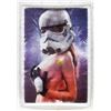 Image 1 : New Star Wars Naked Storm Trooper Wall Art