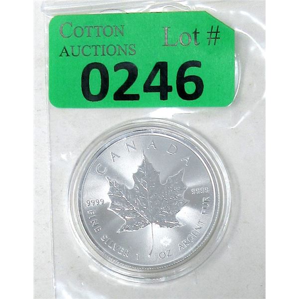 1 Oz .9999 Silver 2020 Canadian Maple Leaf Coin