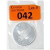 Image 1 : 1 Oz. .999 Fine Silver Sunshine Mint Round