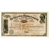 Image 1 : Yuscaran Mining Co., 1886 I/U Stock Certificate