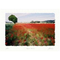  Poppy's valley  Author's lithograph by Livitin#2320847