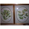 Image 1 : Don Whitlatch Signed Bird Prints Set of 2 #2341948