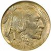 Image 1 : 1913-D Buffalo Nickel Type II MS67 (NGC)