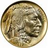 Image 1 : 1917 Buffalo Nickel MS66 (NGC) CAC