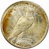 Image 2 : 1928 Peace Silver Dollar MS64 (PCGS) OGH