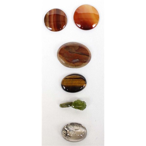 6 Cabochons Including Tiger Eye & Petrified Wood