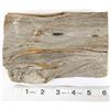 Image 7 : Drift Wood Trinket Box.