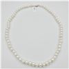 Image 1 : Freshwater Pearl Necklace