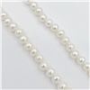 Image 3 : Freshwater Pearl Necklace