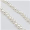 Image 4 : Freshwater Pearl Necklace