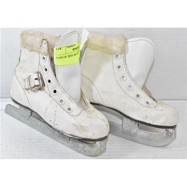 BAG OF SPORTS COLLECTIBLES RAPTORS / WATCH NHL