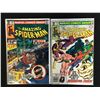 Image 1 : THE AMAZING SPIDER-MAN #216 & #214 (MARVEL COMICS)