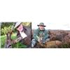Image 1 : SCOTLAND ROE DEER HUNT FOR ONE HUNTER