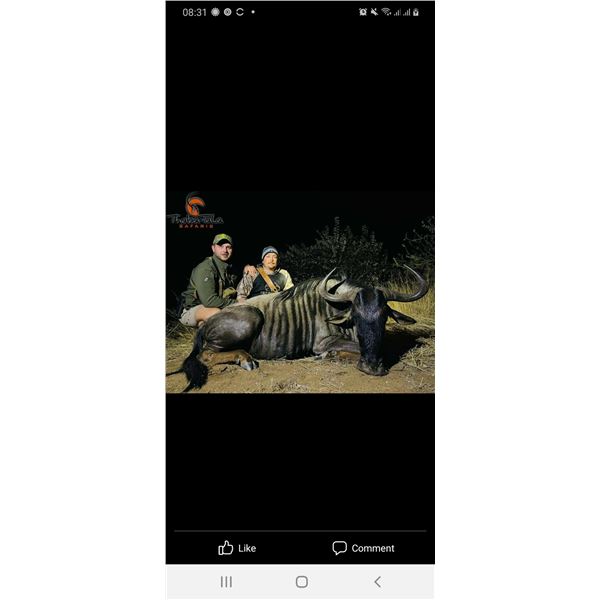 10-DAY SOUTH AFRICAN SAFARI FOR 1 HUNTER  INCLUDING TROPHY FEE FOR 1 SABLE UP TO 40”