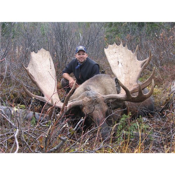 SEVEN DAY BRITISH COLUMBIA MOOSE HUNT FOR ONE HUNTER