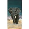 Image 1 : MAJESTIC ELEPHANT