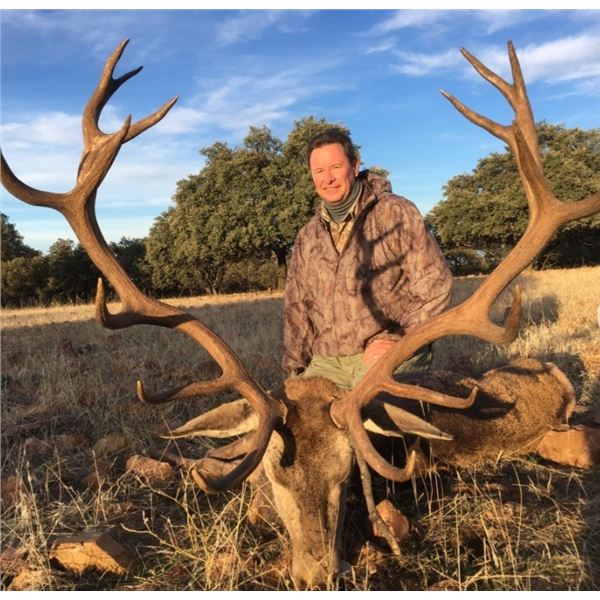 RED STAG HUNT IN SPAIN