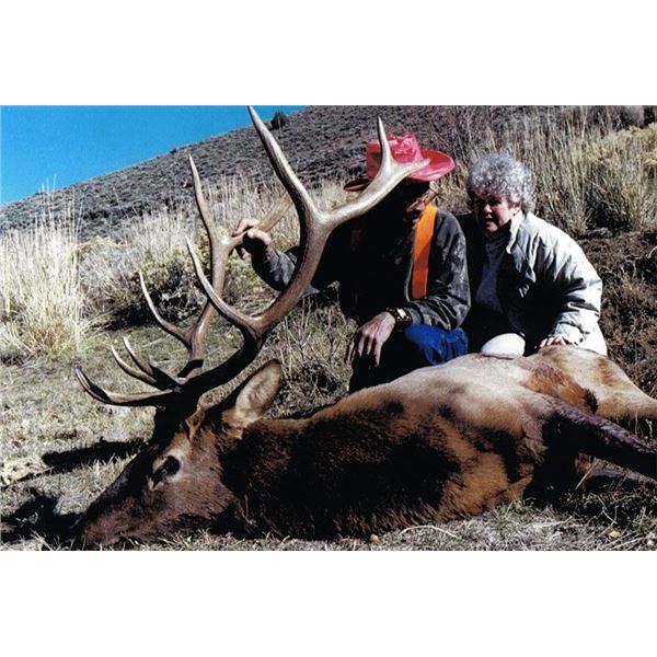 5 Day Archery Elk for One Hunter