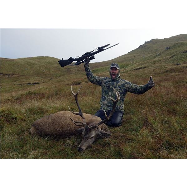 7 Day Fall Red Stag Hunt One Hunter