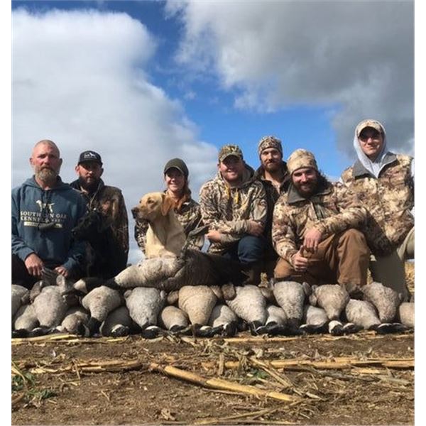 One Day Canada Goose Hunt Two Hunters