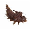 Image 1 : Guardians of the Galaxy (2014) Alien "Chicken Wing"