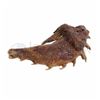 Image 2 : Guardians of the Galaxy (2014) Alien "Chicken Wing"