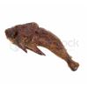 Image 3 : Guardians of the Galaxy (2014) Alien "Chicken Wing"